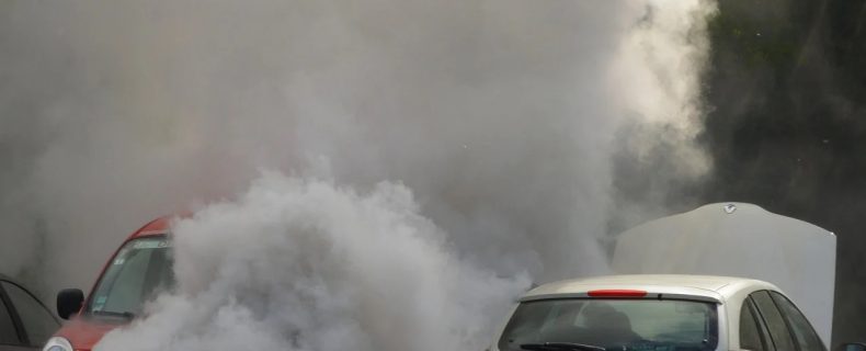 “Zielone strefy” w miastach w końcu na poważnie?